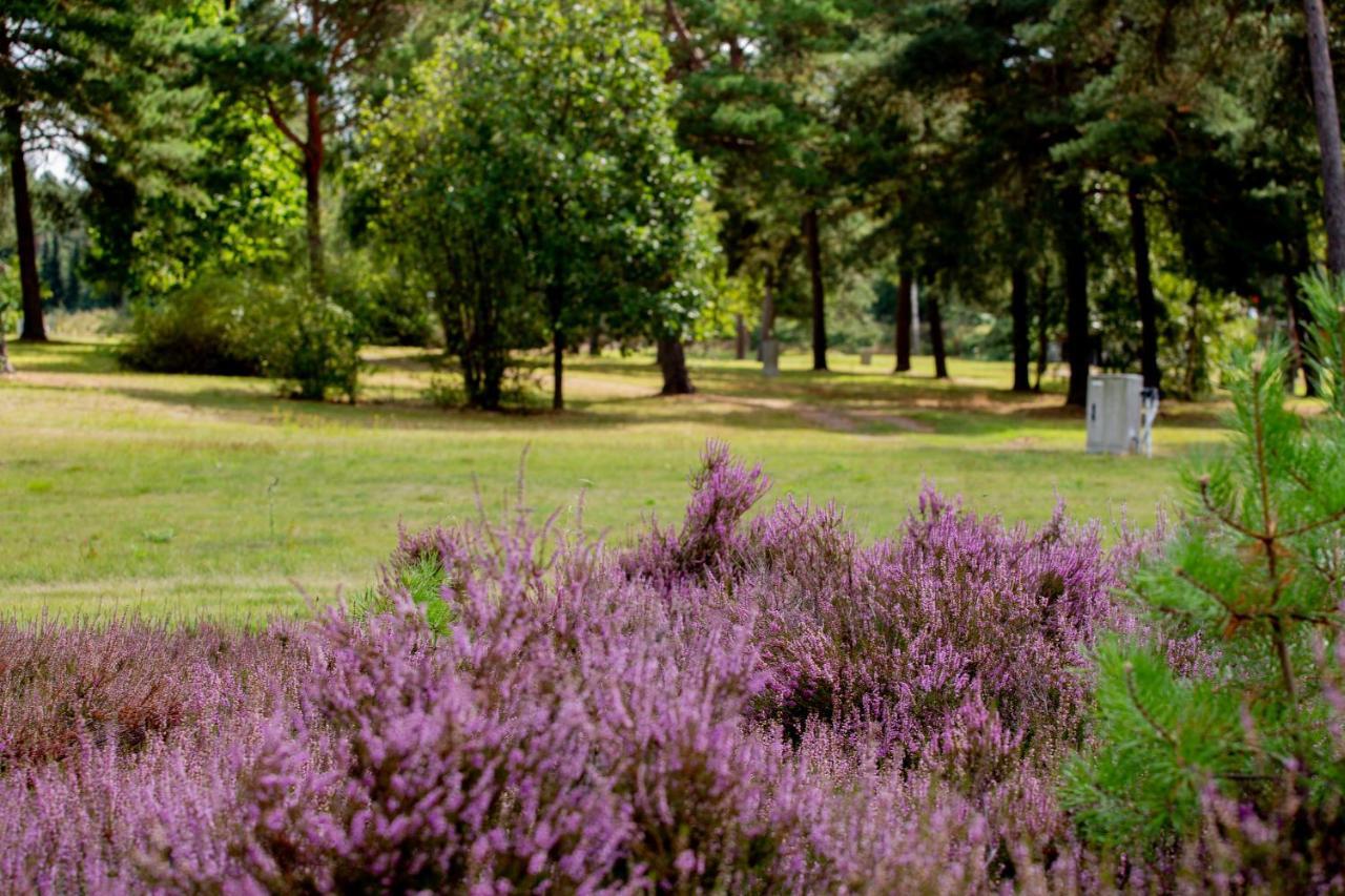 Naturcamping Lueneburger Heide - Chalets & Tiny Haeuser Soltau Luaran gambar