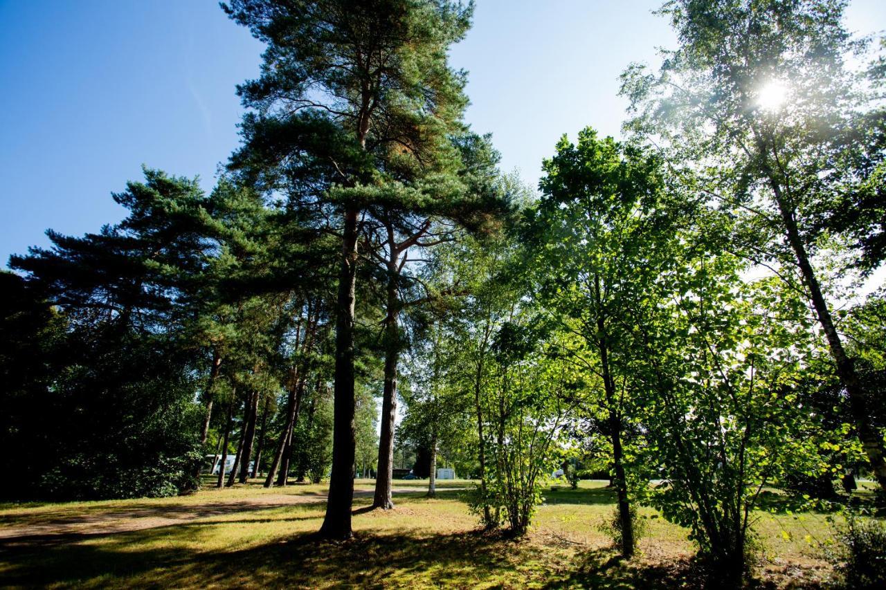 Naturcamping Lueneburger Heide - Chalets & Tiny Haeuser Soltau Luaran gambar