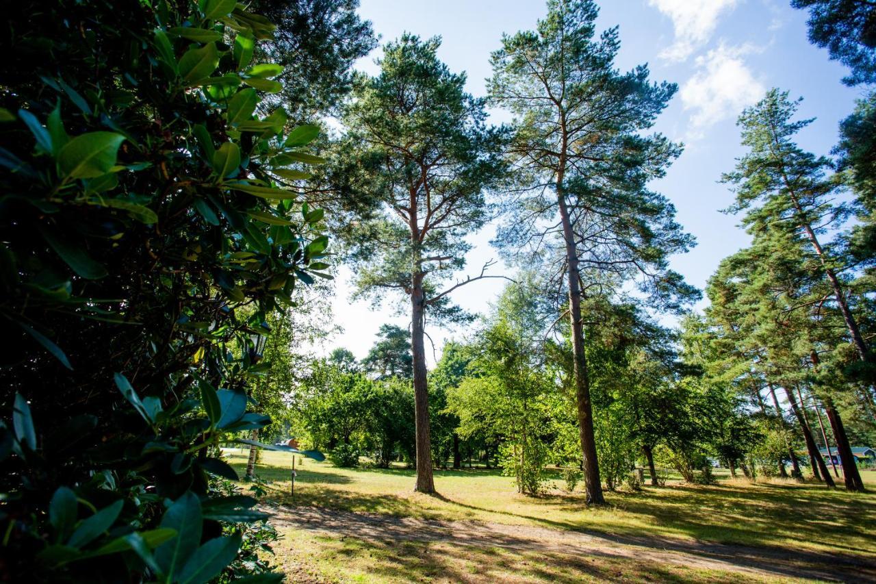 Naturcamping Lueneburger Heide - Chalets & Tiny Haeuser Soltau Luaran gambar